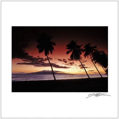 Silhouetted palm trees against a vibrant sunset sky over the ocean.