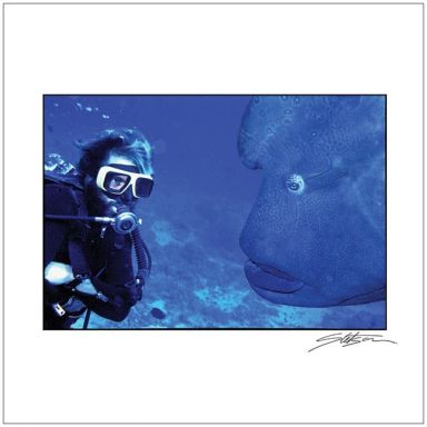 Diver observing a large fish underwater in a blue ocean setting.