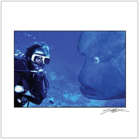 Diver observing a large fish underwater in a blue ocean setting.