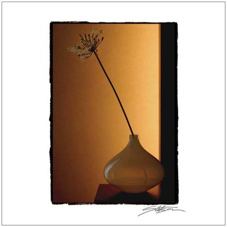 A tall, slender flower in a simple beige vase, set against a warm background.
