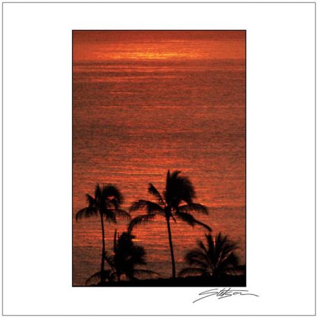 Silhouetted palm trees against a vibrant orange sunset over the ocean.