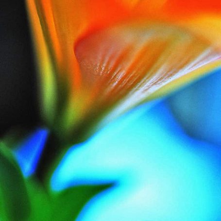 Close-up of an orange flower petal with a blurred blue background.