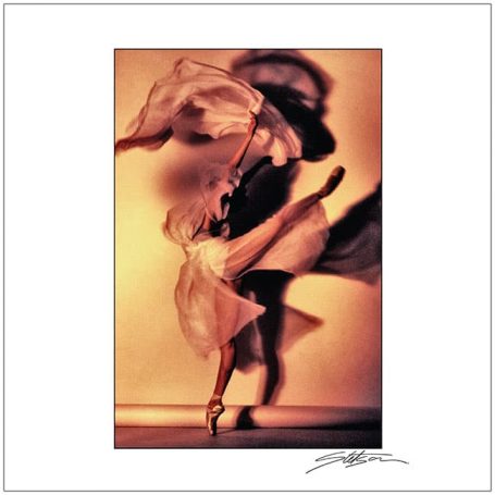 A dancer in a flowing costume striking a graceful pose with a blurred figure behind.