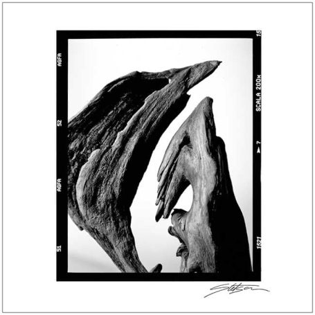 Abstract black and white composition of intertwined wooden shapes resembling hands.