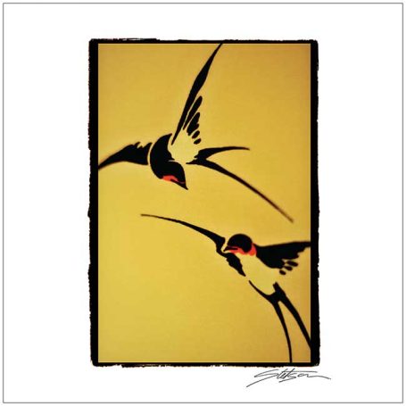 Two stylised birds in flight against a yellow background.