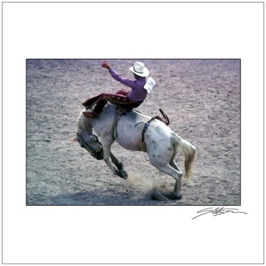Cowboy riding a bucking grey horse in a rodeo arena.