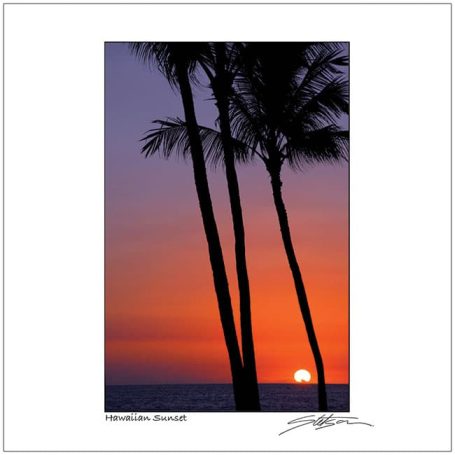Silhouetted palm trees against a vibrant sunset over the ocean.