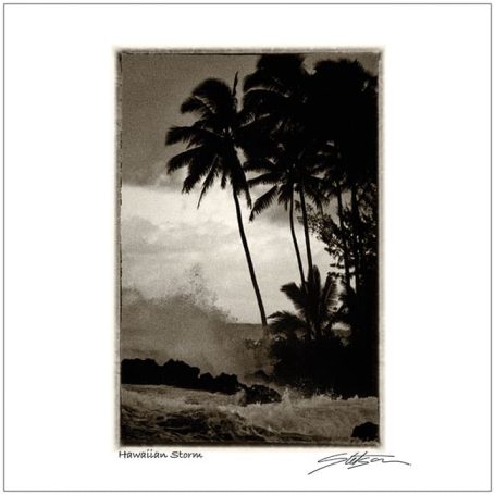 Silhouetted palm trees against a stormy sky and crashing waves.