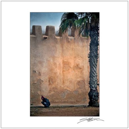 A person crouches beside a palm tree against a weathered orange wall.