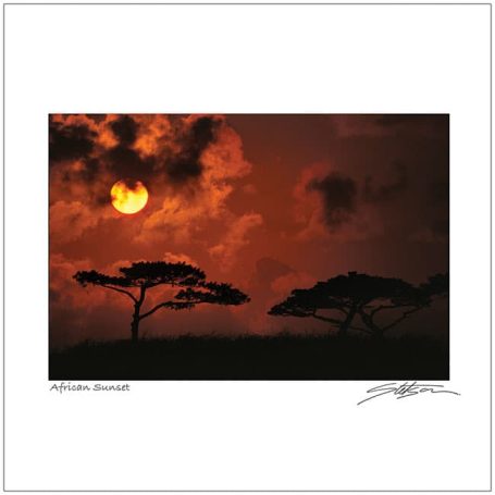 Silhouetted trees against a vibrant red and orange sunset sky.
