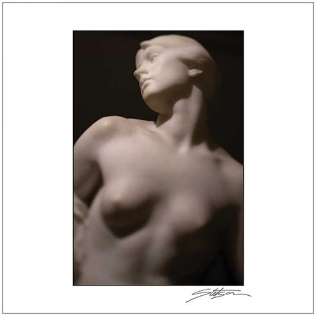 A close-up of a classic marble sculpture of a female figure in profile.