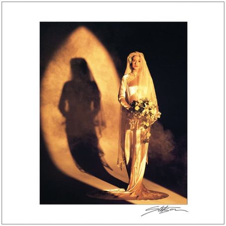 A bride in a flowing gown holds a bouquet, with a dramatic shadow cast behind her.